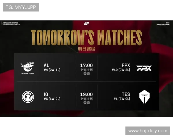 IG与AL的全面对比分析：两者优势、劣势及市场前景深度解读