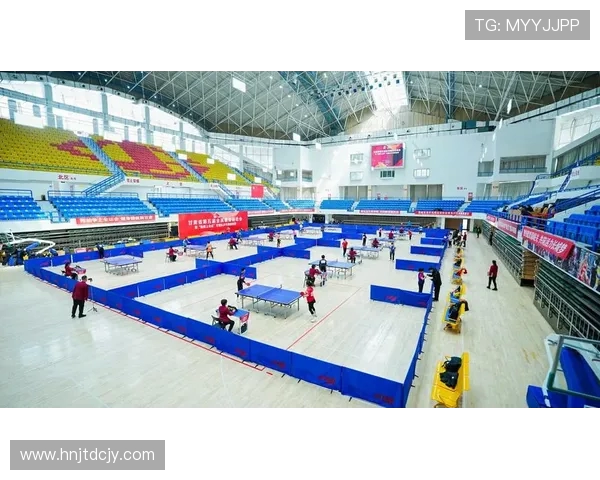 乒乓球运动的魅力与发展趋势探析从竞技体育到全民健身的融合路径