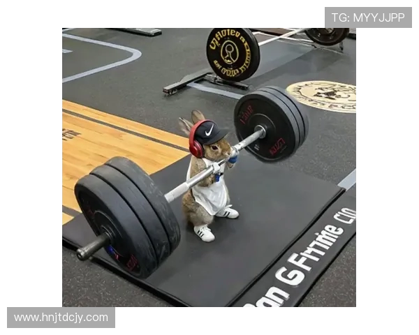 坚持科学健身塑造健康体魄打造积极向上与自信满满的人生态度