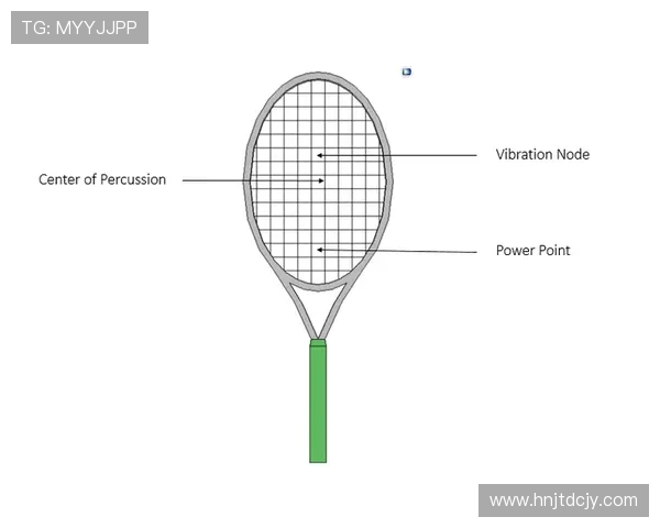 网球运动的发展历程与全球影响力分析：从历史起源到现代竞技场上的变革