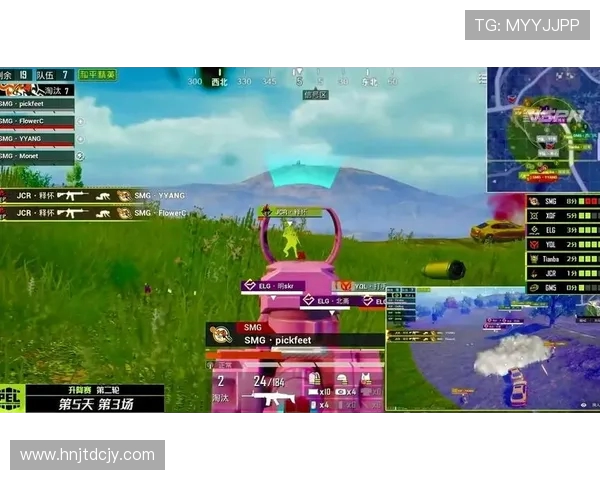 和平精英纪实：TES战队在竞技场上的蜕变与成长之路