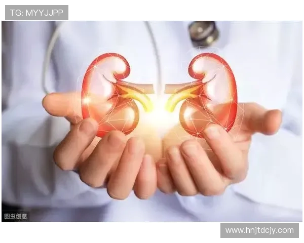 坚持力量与健康并进打造科学高效的全方位健身生活指南